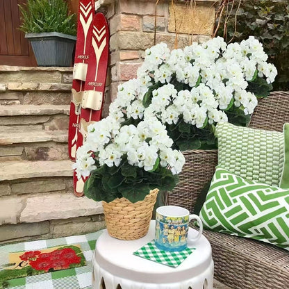 🎁 Last Day 60% OFF - Realistic Artificial Geranium Flowers For Beautiful Outdoor Decor