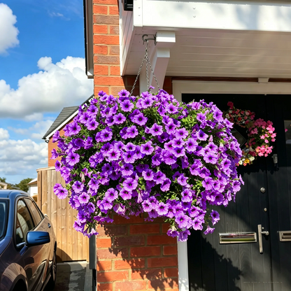 🔥UV Resistant Artificial Petunias Flowers🔥